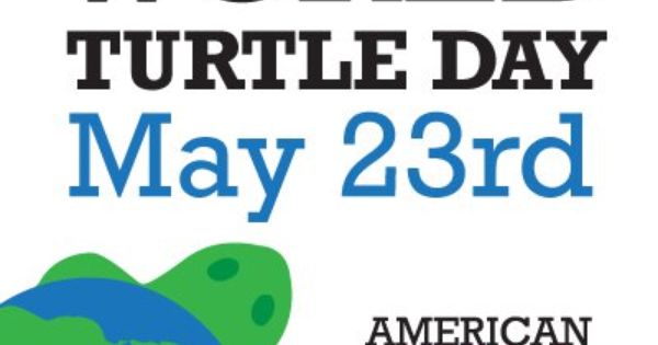 World Turtle Day 23rd