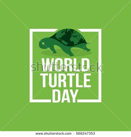 World Turtle Day Card