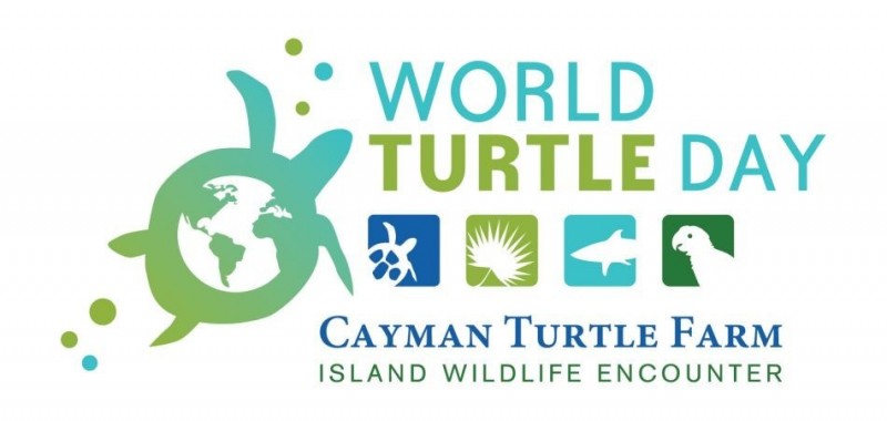 World Turtle Day Cayman Turtle Farm Island Wildlife Encounter