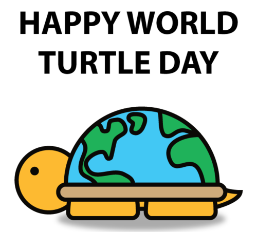 World Turtle Day Clipart