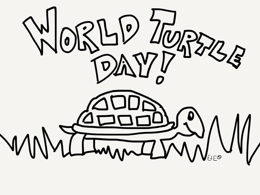 World Turtle Day Coloring Page