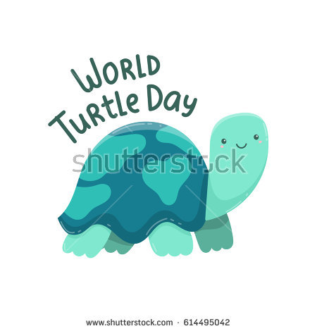 World Turtle Day Illustration