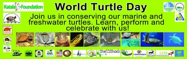 World Turtle Day Join Us In Conserving Our Marine And Freshwater Turtle. Learn, Perform And Celebrate With Us