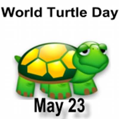 World Turtle Day May 23 Clipart