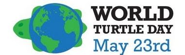 World Turtle Day May 23rd Image