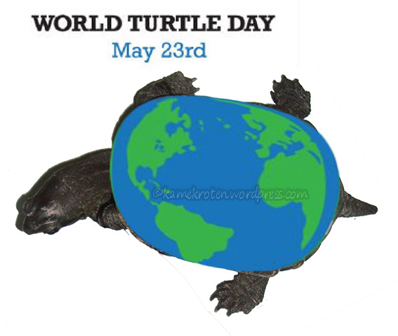 World Turtle Day May 23rd Tortoise With Earth Globe