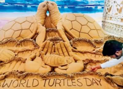 World Turtle Day Sand Art