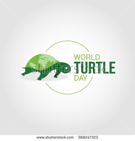 World Turtle Day Vector Design