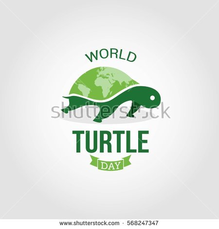 World Turtle Day Vector Illustration