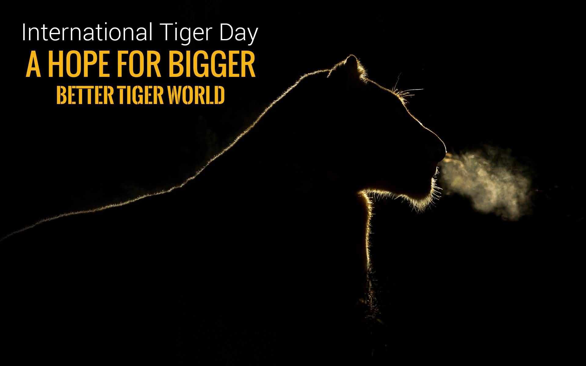 A Hope For Bigger Better Tiger World - International Tiger Day