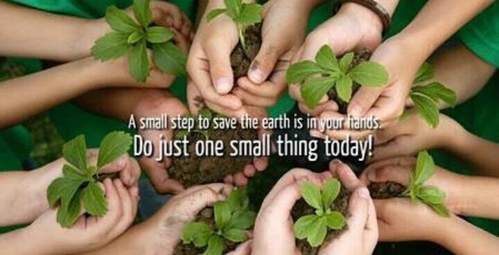 A Small Step To Save The Earth In Your Hands. Do Just one Small Thing Today – Plant Trees