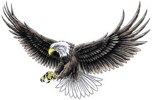 Amazing Flying Eagle With Open Wings Tattoo Design