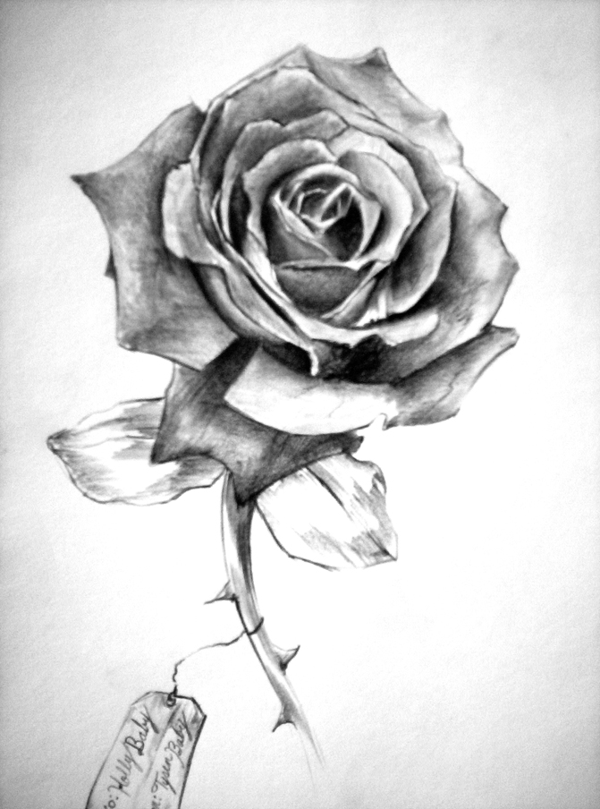 Amazing Grey Rose Flower Tattoo Design Sample