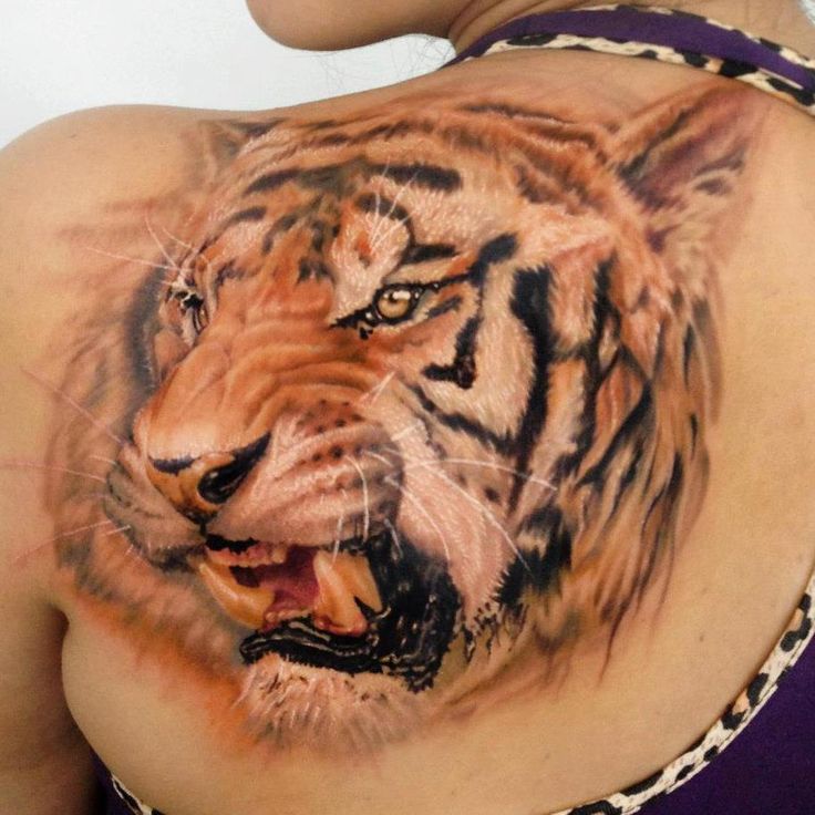 Angry Tiger Head Tattoo On Back Shoulder