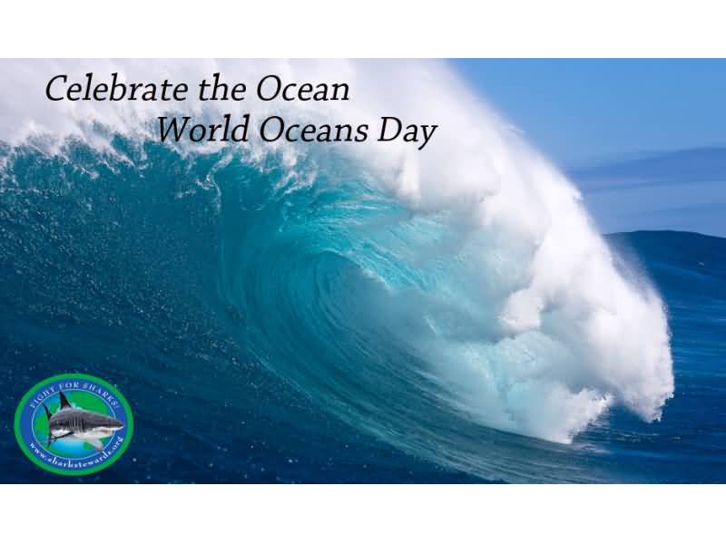 Celebrate The World Ocean Day Graphic Picture