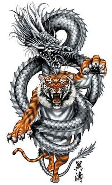 Chinese Dragon Caught Tiger Tattoo Design