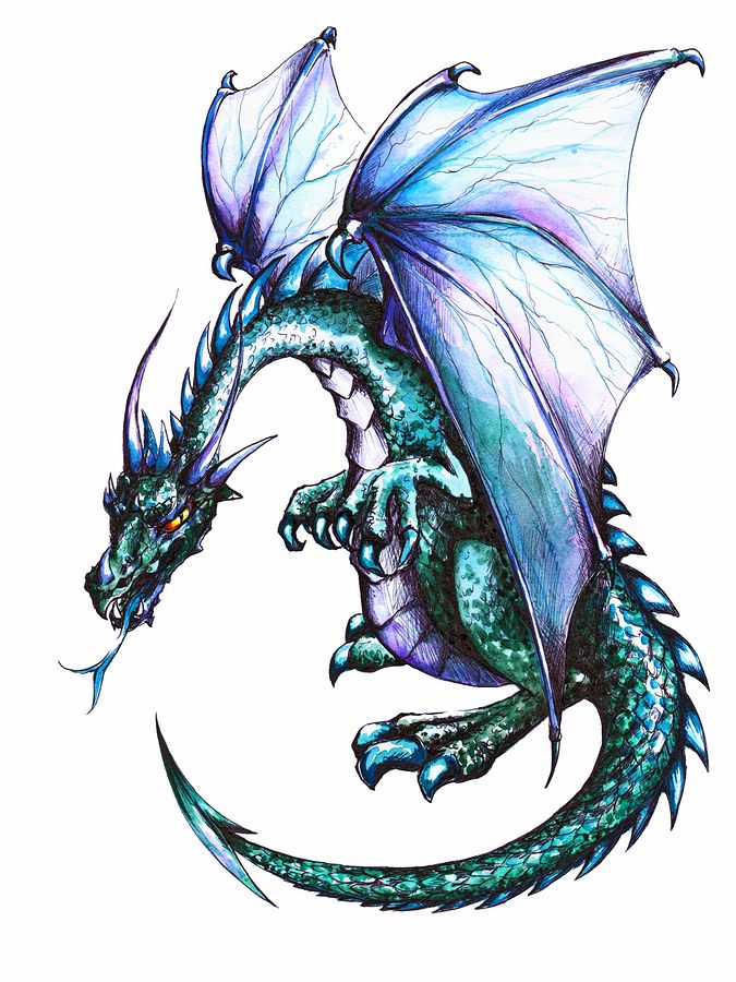Blue dragon on white background.Picture created with pen and colored pencils