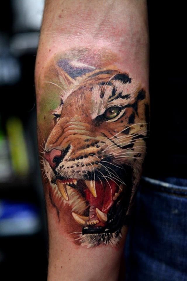 Colored angry Tiger Head Tattoo On Right Forearm