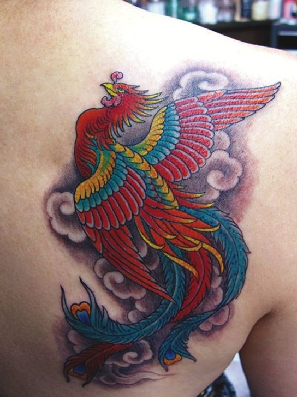 Colorful Flying Phoenix Tattoo On Right Back Shoulder