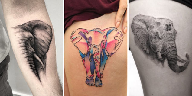 Elephant Head Tattoos Ideas