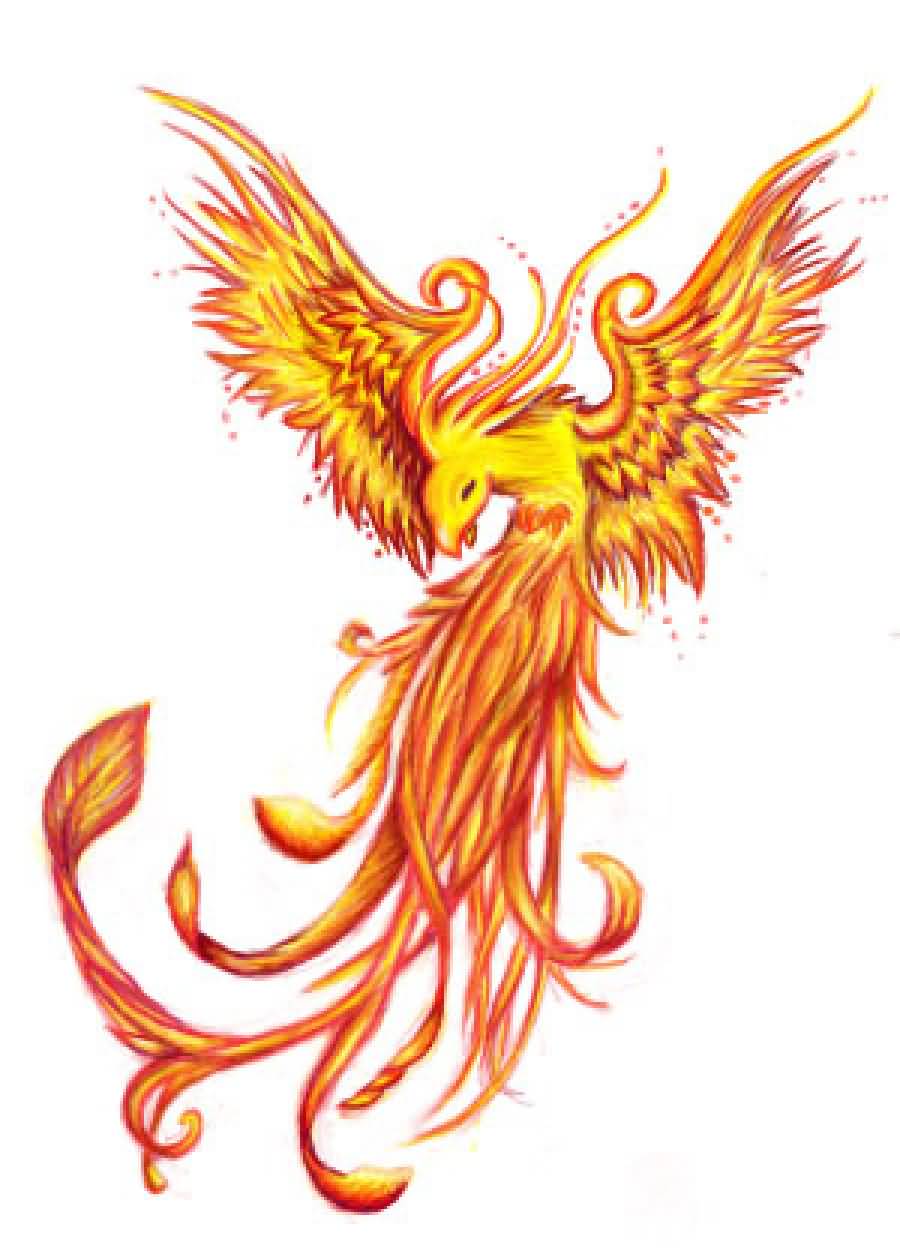 31+ Nice Phoenix Tattoos Designs And Pictures Ideas