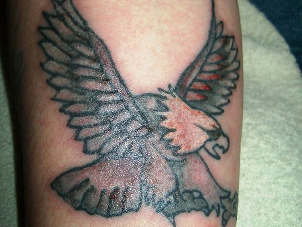 Flying Eagle In Grey Ink Tattooed On Forearm