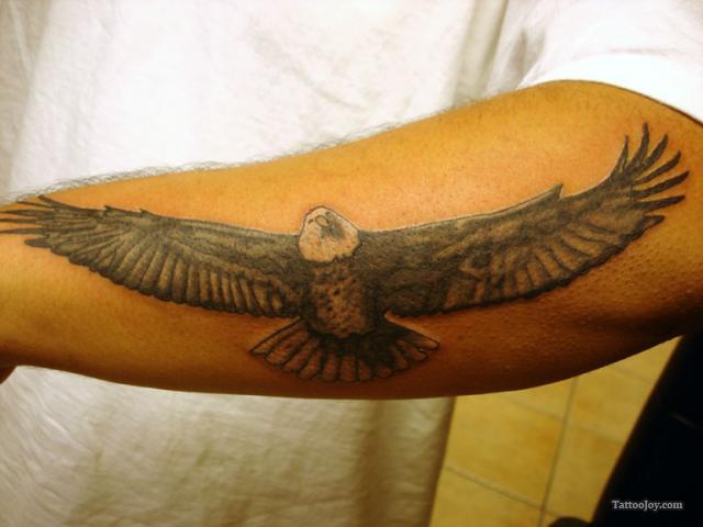 Flying Eagle Tattoo On Man Left Forearm