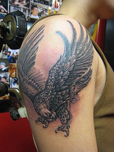 Flying Grey Eagle Tattoo On Man Right Shoulder