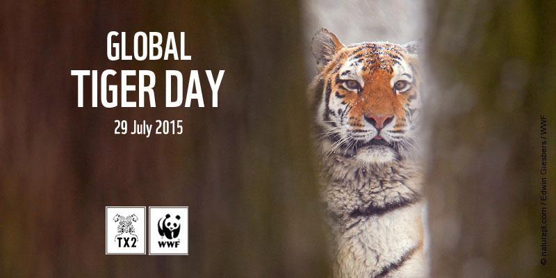 Global Tiger Day Wishes E-Card