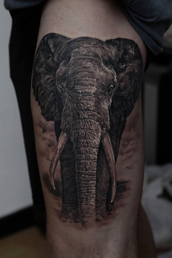 Grey And Black African Elephant Tattoo On Leg