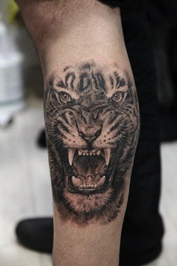Grey And Black Angry Tiger Head Tattoo On Side Leg