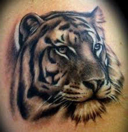 Grey And Black Ink Tiger Head Tattoo Idea