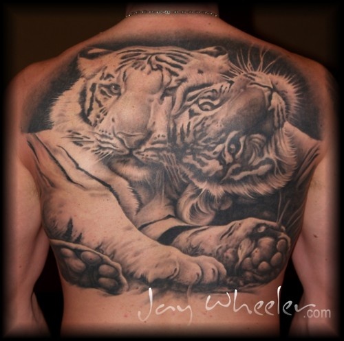 Grey And Black Tiger Tattoo On Upper back by Jay Wheeler