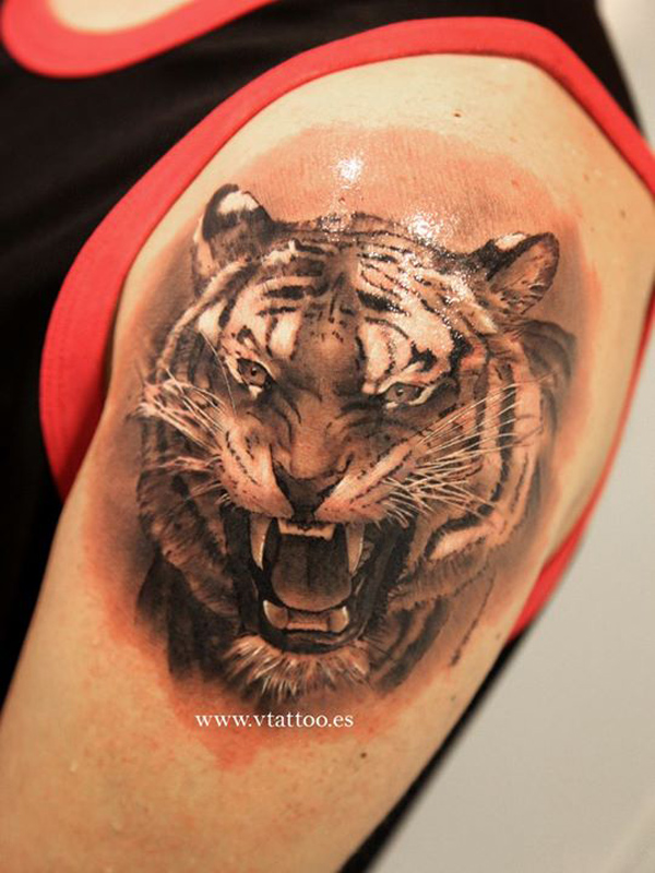 Grey Ink Angry Tiger Tattoo On Left Shoulder