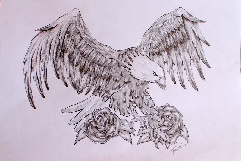 Grey Roses And Eagle Tattoo Design by ThereseDrawings