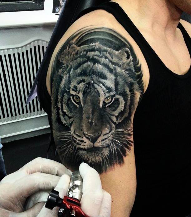 Grey and Black Tiger Head Tattoo On Right Shoulder