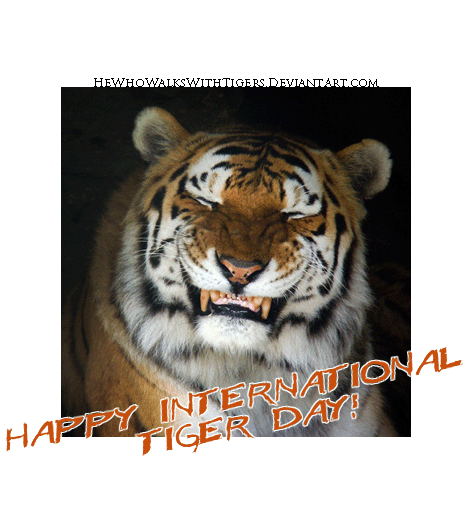 Happy International Tiger Day To Save Tigers
