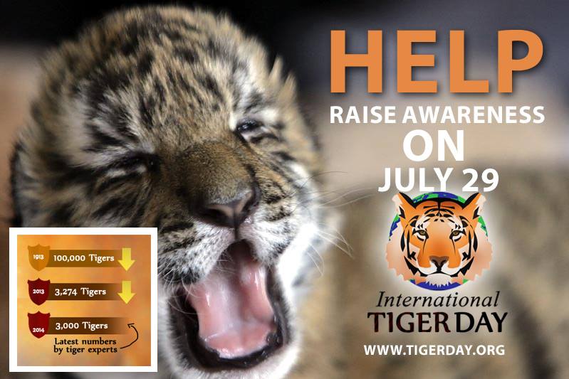 Help Raise Awareness On July 29 - International Tiger Day Images