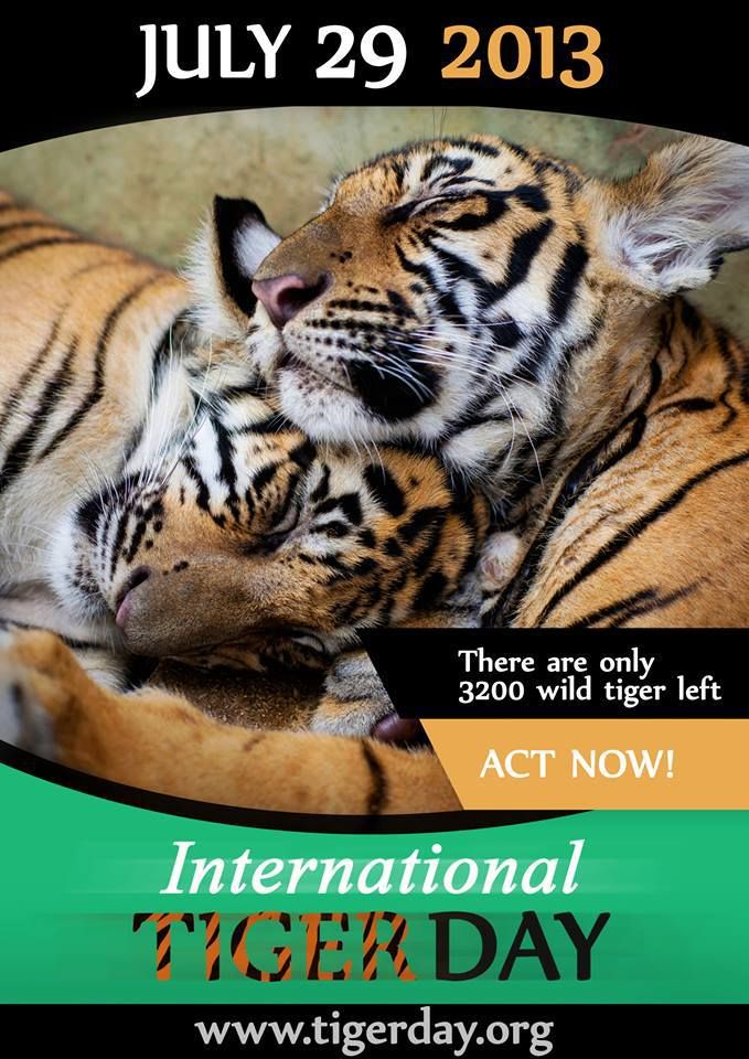 International Tiger Day 29 July Wishes