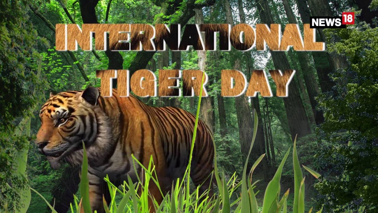 International Tiger Day Animated Picture
