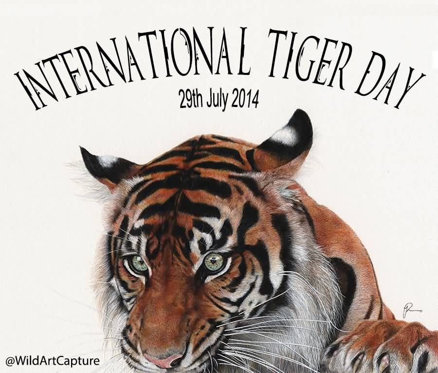 International Tiger Day Wishes Graphic