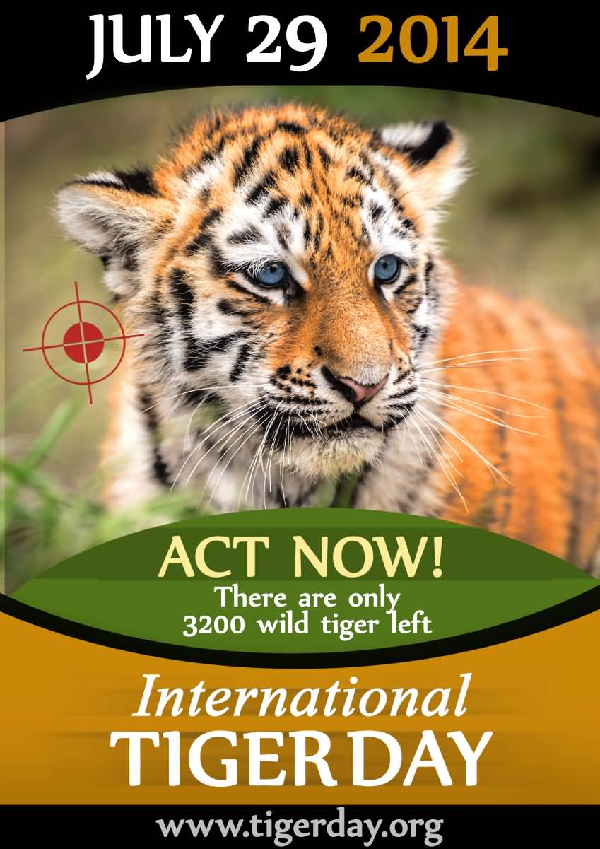 July 29th International Tiger Day Greeting card
