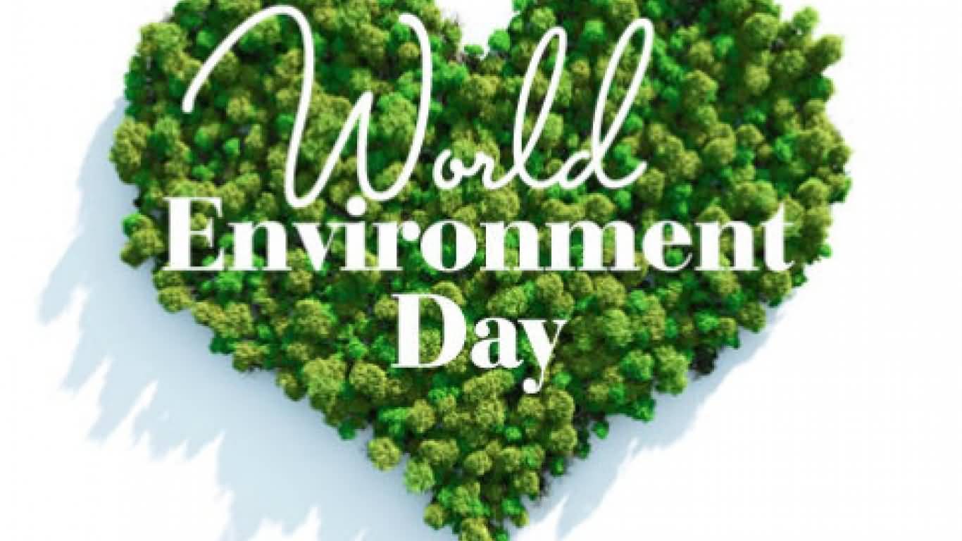 Make Heart With Plants With World Environment Day Wishes