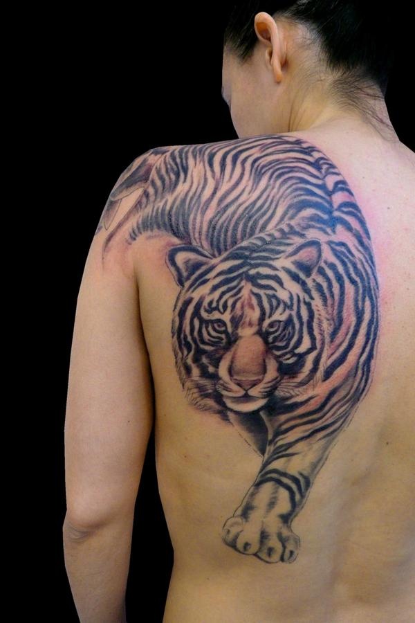 Nice Walking Tiger Tattoo On Left back Shoulder