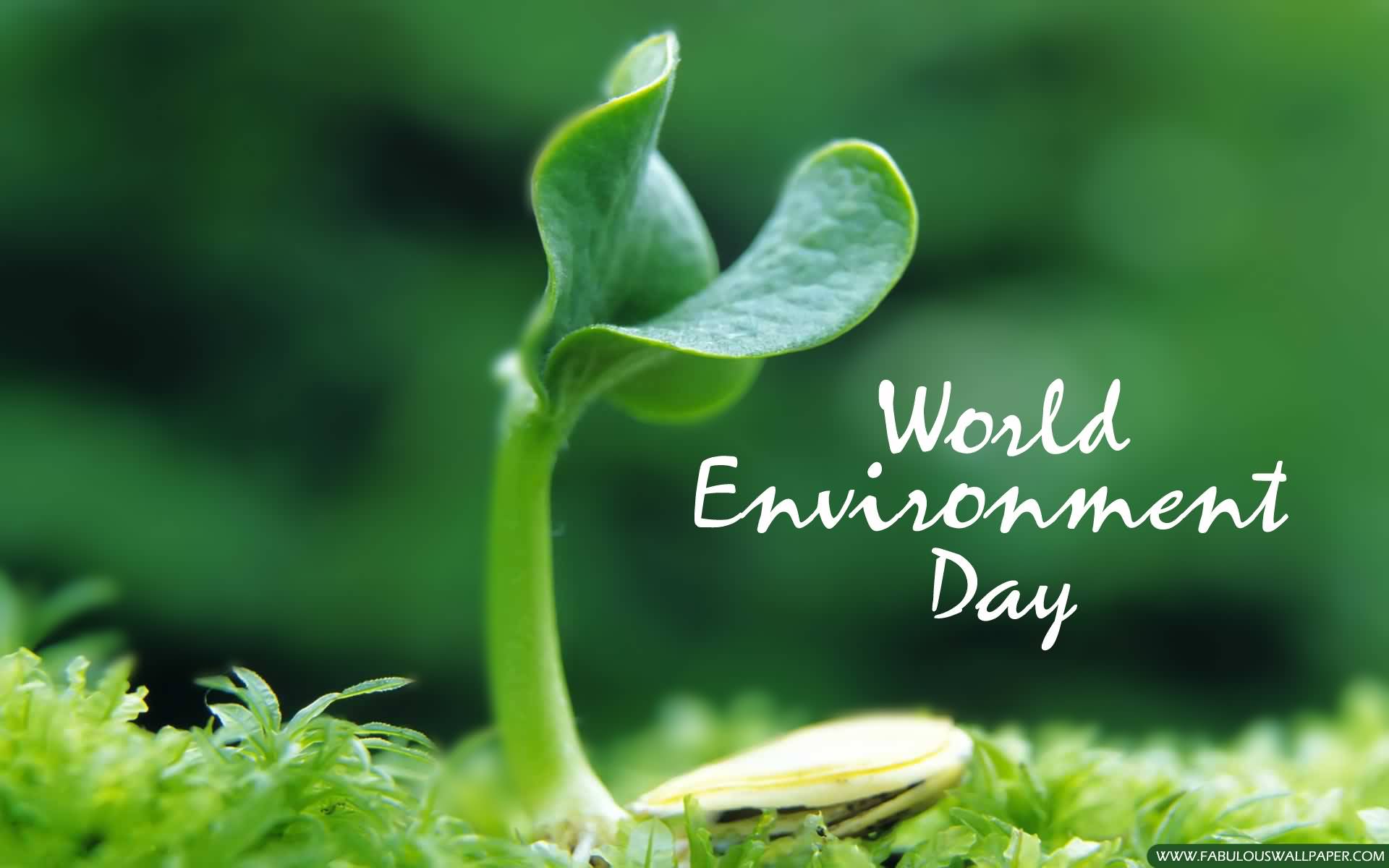 Nice World Environment Day Ideas