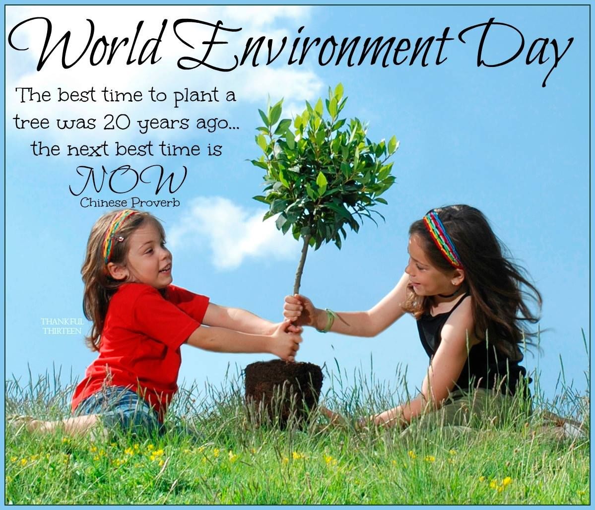 Plant Trees Save Environment - World Environment Day