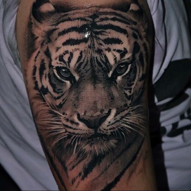 Right Bicep Black and White Tiger Head Tattoo