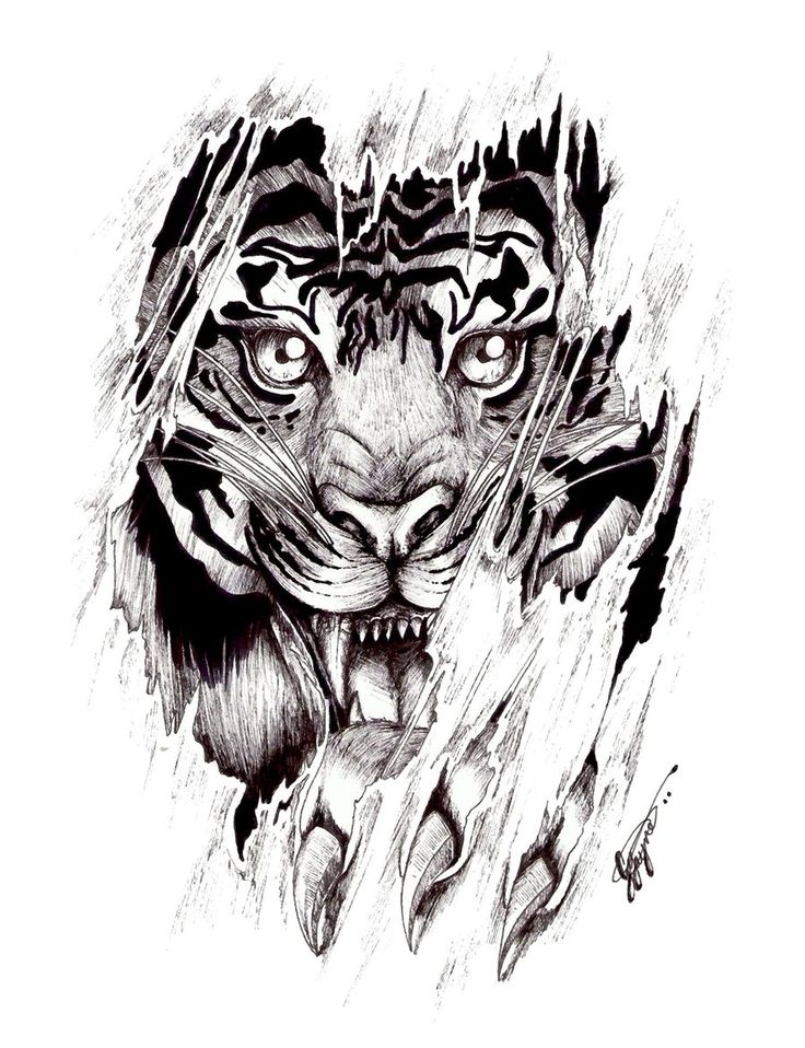 Ripped Skin Angry Tiger Face Tattoo Design by Shellvia Blackthorn