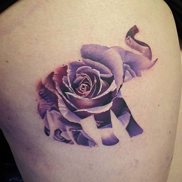 Rose Flower Elephant Tattoo On Side Leg