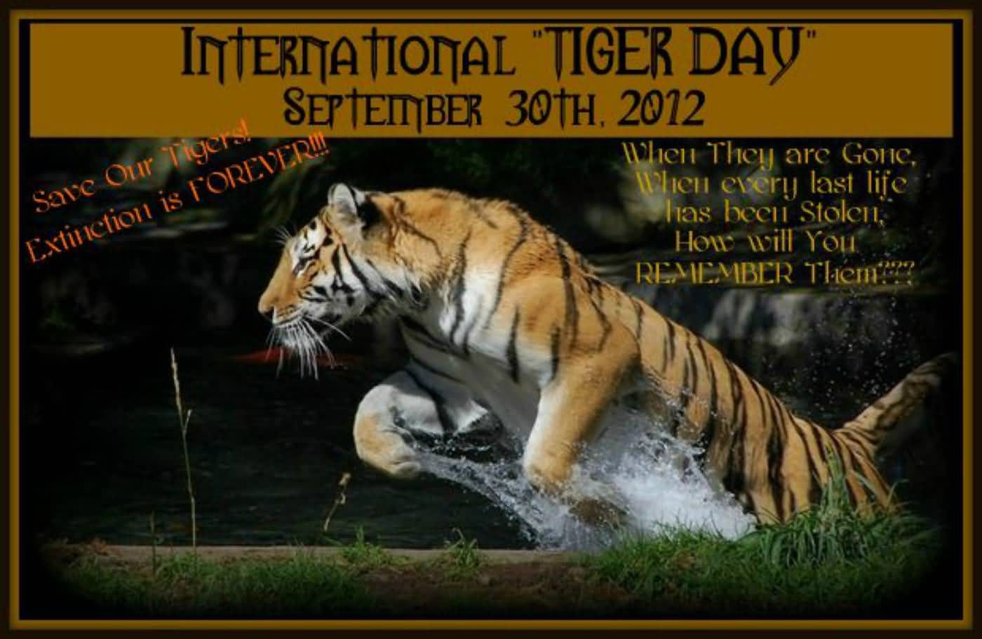 Save Our Tigers - International Tiger Day Greetings